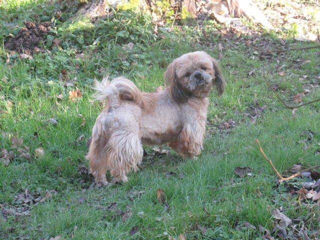 TITIEN prend sa retraite, mise à jour le. 2/01/26.