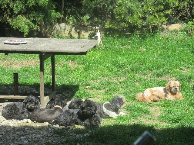Tedgy et Uston se sont unis...